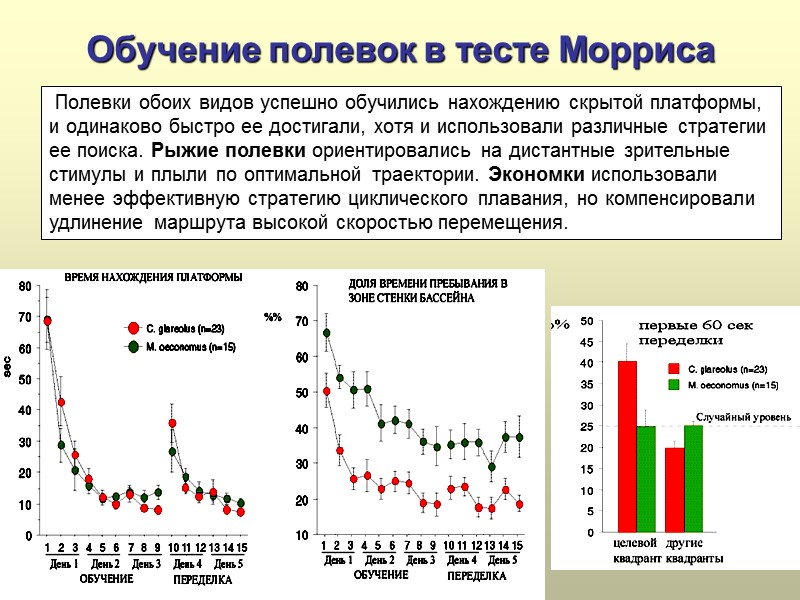 Обучение полевок в тесте Морриса  Полевки обоих видов успешно обучились нахождению скрытой платформы,